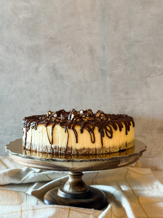 Cheesecake Tortuga